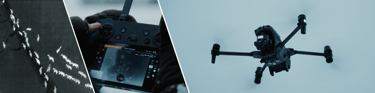 renar, drönare och handkontroll