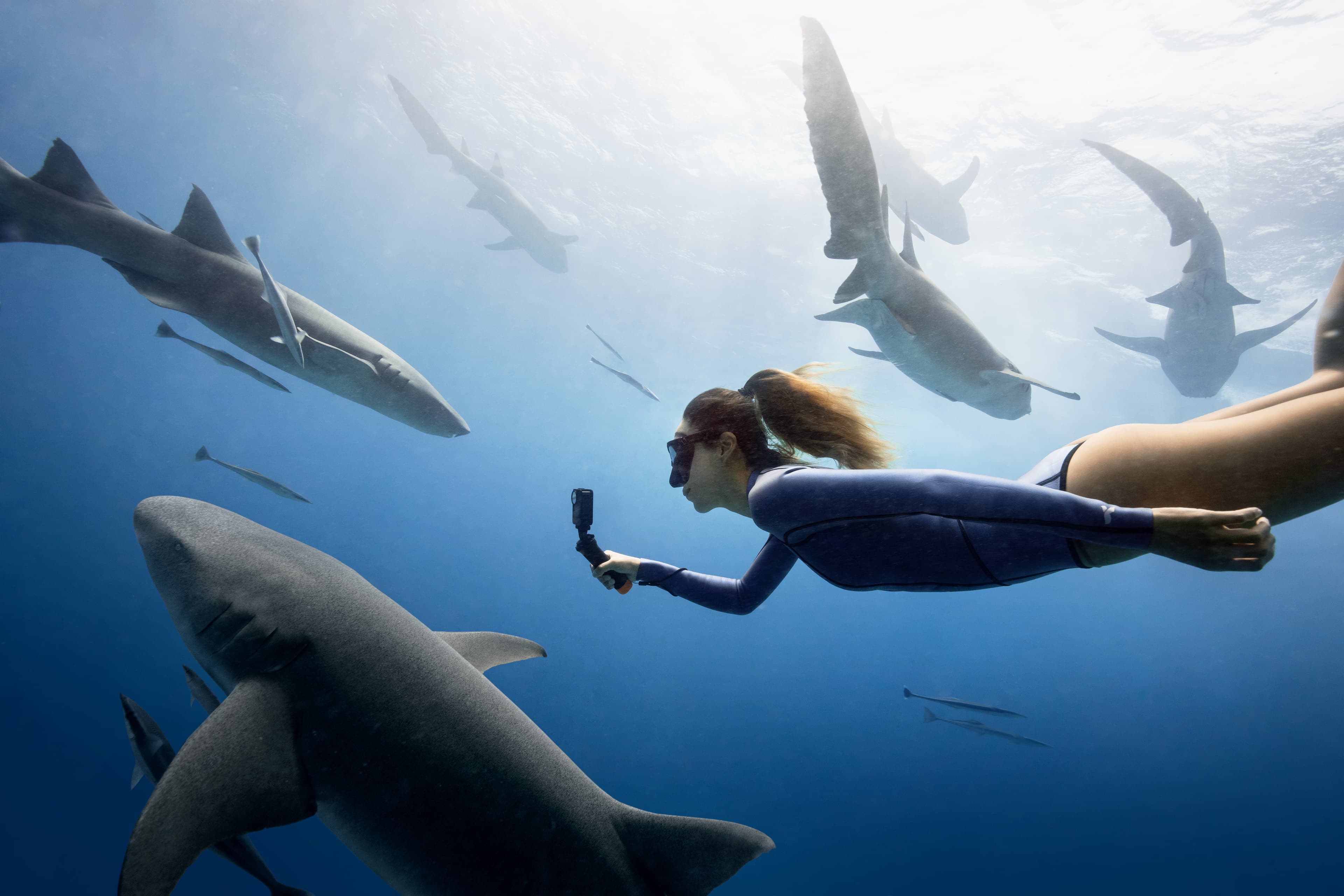 Osmo Action 4 Diving