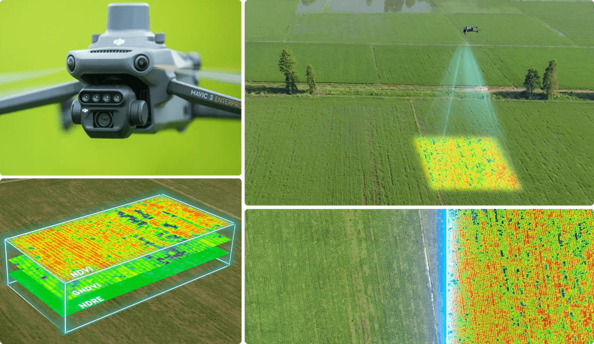 En drönare övervakar en åker med hjälp av avancerad sensorteknik för att skapa detaljerade kartor över växttillstånd. En 3D-visualisering visar olika vegetationsindex som NDVI, GNDVI och NDRE.