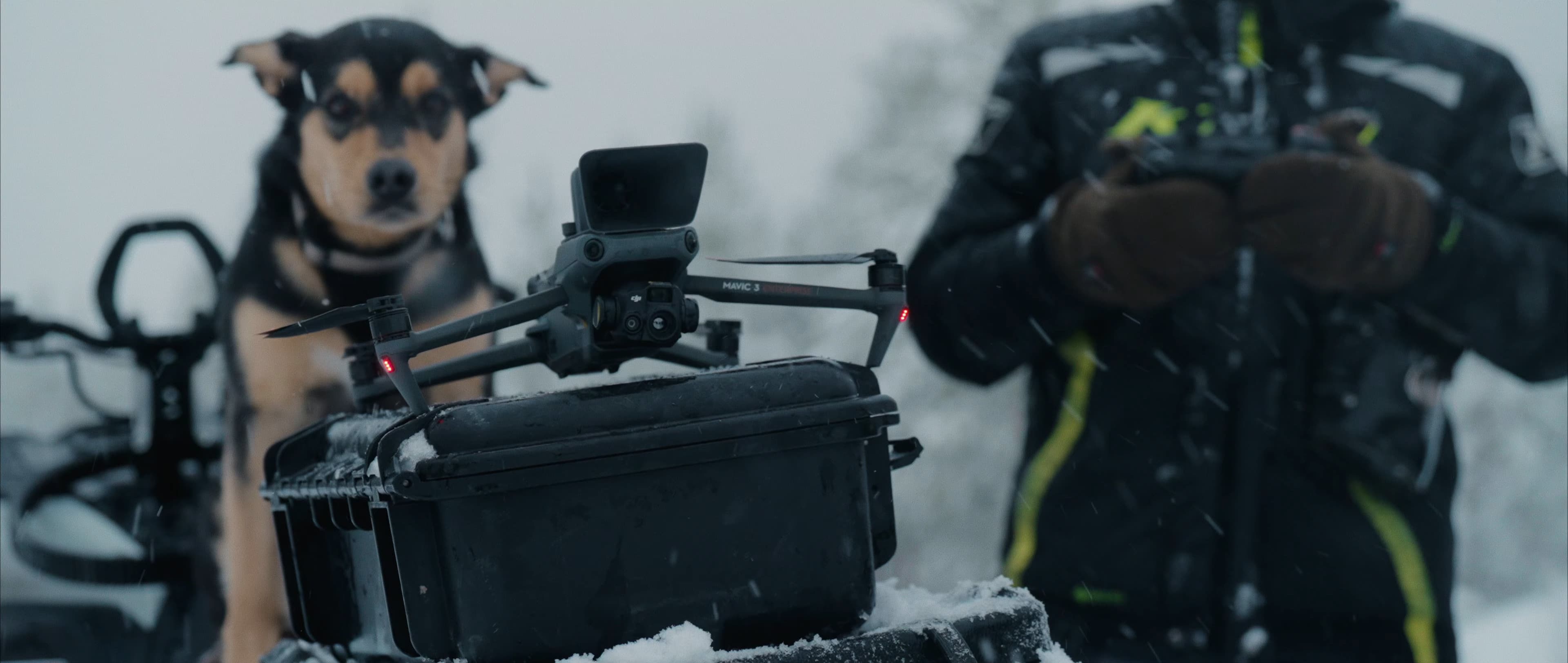 Drönare för renskötsel