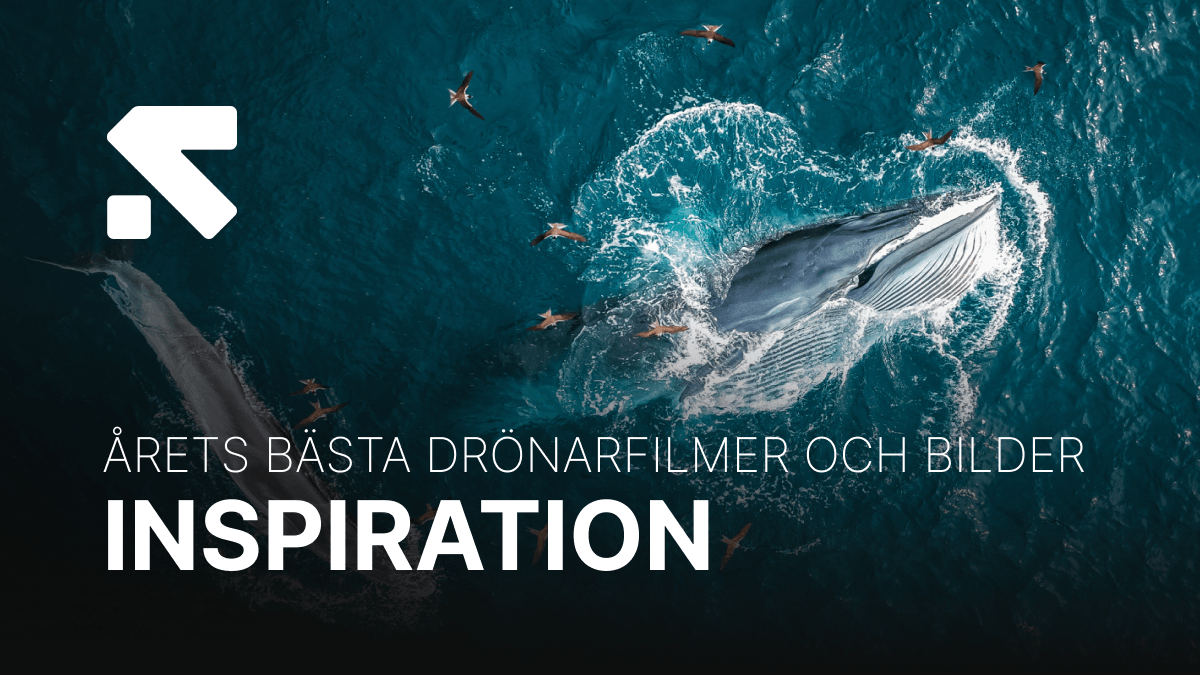 Swedron media Blogginlägg Swedron media_ Blogginlägg.png