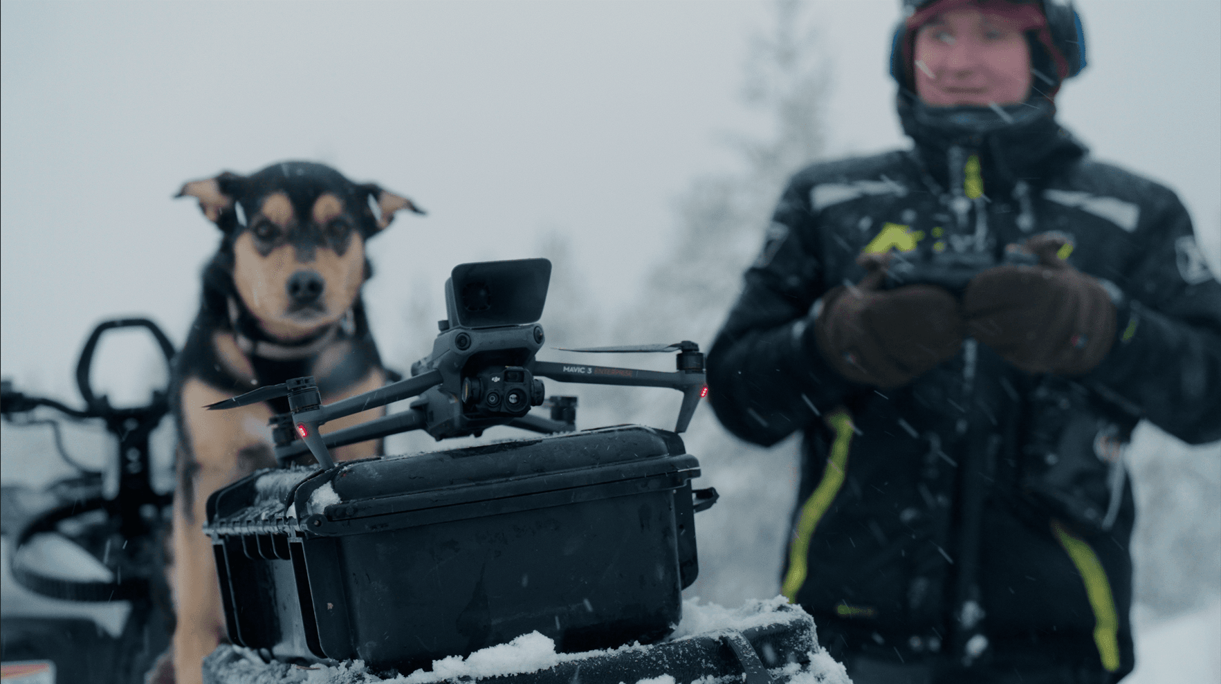 Bild på hund och drönare